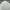 Karl Lagerfeld Luxury Minimalist Formal Shirt Pria Cream