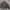 Casual Harrington jacket Pria brown photo 1