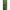 Casual Muslim Pria Multicolor Green