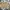 Japanese brand Minimalist Casual Short Pria tan photo 5