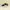 Nike Streetwear Sportswear Sneakers Pria white black photo 1
