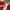 Cosplay Casual Formal shirt Pria white red photo 4