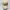 Nike Vintage Sportswear Hat Pria tan photo 2
