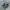 Nike Streetwear Casual Sneakers Pria white navy photo 1