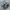 Nike Streetwear Casual Sneakers Pria White Navy
