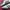 Adidas Streetwear Casual Sneakers Pria white black photo 2