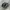 Salomon Gorpcore Casual Sneakers Pria White Black
