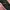 Arc'teryx Gorpcore Track jacket Wanita pink photo 4