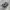 Adidas Streetwear Casual Sneakers Pria black gray photo 1