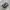 Adidas Streetwear Casual Sneakers Pria Black Gray