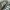 Adidas Streetwear Casual Sneakers Pria green photo 2