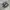 Adidas Streetwear Casual Sneakers Pria green photo 1