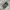 Adidas Streetwear Casual Sneakers Pria green photo 3