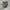 Adidas Streetwear Casual Sneakers Pria green photo 4