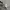 Nike Casual Hoody Pria gray photo 4