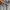 The North Face Streetwear Minimalist Formal shirt Pria gray photo 4