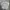 The North Face Streetwear Minimalist Formal Shirt Pria Gray