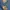 Carhartt Streetwear Jeans Pria navy blue photo 5