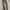 Uniqlo Casual Casual pants Pria tan photo 2