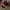 VANS Casual Sneakers Pria Red