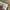 Vintage Y2K Casual pants Pria tan photo 5