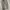 Vintage Y2K Casual pants Pria tan photo 2