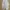 Uniqlo Vintage Y2K Casual pants Pria white photo 6