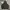 Helly Hansen Gorpcore Windbreaker Pria black photo 1