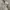 Uniqlo Vintage Y2K Tracksuit Pria cream photo 6