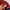 Streetwear Sweatshirt Pria red black photo 4