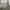 Carhartt Luxury Hoody Pria gray photo 3