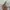 Carhartt Luxury Hoody Pria gray photo 5