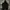 The North Face Casual Hoody Pria Black