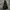 The North Face Casual Hoody Pria black photo 4