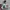 Lotto Sport Italia Vintage Jersey Pria white photo 4