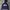 GAP Sportswear Hoody Kids Navy Pink
