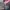 Under Armour Sportswear Hoody Kids pink gray photo 4
