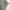 Patagonia Casual Casual shirt Pria green photo 3