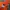 MLB Sportswear Hoody Kids orange photo 2