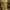 Batik Pakaian Nasional Kebaya Wanita brown yellow photo 2