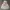 GAP Minimalist Hoody Kids pink gray photo 3