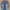 Levi's Casual Pria blue photo 2