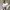Jiniso Casual Crop top Wanita white photo 1