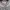 Thom Browne Casual Sweatshirt Wanita gray photo 6