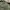 Gramicci Streetwear Casual Casual pants Pria green photo 8
