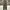 Gramicci Streetwear Casual Casual pants Pria green photo 4