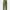 Gramicci Streetwear Casual Casual pants Pria green photo 2