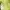 Vintage Y2K Handbag Wanita Multicolor Green