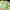 Vintage Y2K Handbag Wanita Multicolor Green