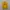GU Cosplay Casual Formal shirt Pria yellow photo 1